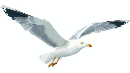 Cartoon flying seagull isolated on white background