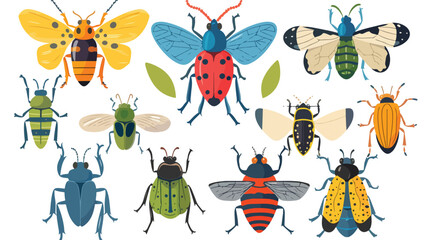 Cartoon insects flat vector isolated on white background