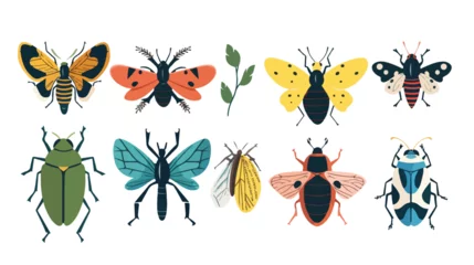 Fotobehang Cartoon insects flat vector isolated on white background © Jasmin