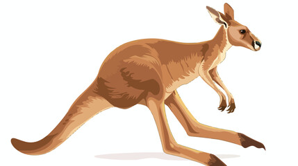 Cartoon jumping Kangaroo isolated on white background