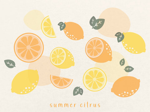 hand drawn vector mnimal illustration set of pastel citrus doodle clip art elements. Lemon in half, cute, slice