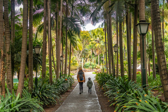 A mother with her son walking in a tropical botanical garden with many palm trees, family vacation concept in a beautiful landscape in spring