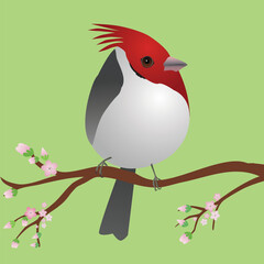 A very cute red crested cardinal bird in the shape of an egg. Greenbackground. The bird sits on a branch with pink blossoms.

