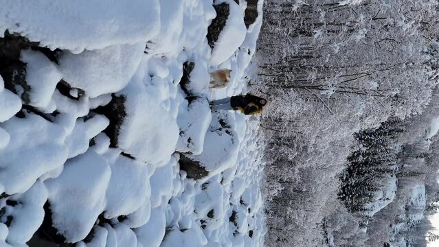 A young woman in her 20s and her furry friend pause on a snow-blanketed trail amidst a winter wonderland. A young woman in her 20s and her furry friend pause on a snow-blanketed trail amidst a winter 