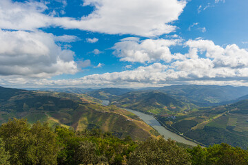 Obraz premium Douro Valley,Portugal. The Douro Valley is a Portugal's most famous and a historic wine region. The Douro was registered as a UNESCO World Heritage Site for cultural landscape.