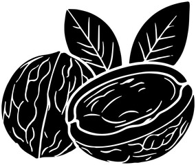 walnut illustration hazelnut silhouette pecan logo nut icon healthy outline cashew food seed leaf almond branch snack tree leaves shape plant pistachio diet for vector graphic background