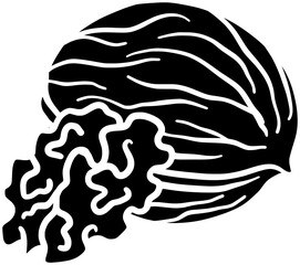 walnut illustration hazelnut silhouette pecan logo nut icon healthy outline cashew food seed leaf almond branch snack tree leaves shape plant pistachio diet for vector graphic background