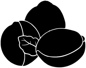walnut illustration hazelnut silhouette pecan logo nut icon healthy outline cashew food seed leaf almond branch snack tree leaves shape plant pistachio diet for vector graphic background