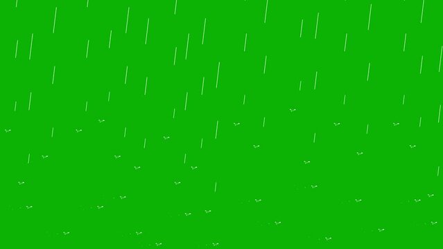 Simple rain animation with water drops and ripples on a green screen background