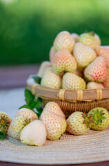 White Strawberries on wooden table in garden, Pink snow strawberry in wooden plate on blurred greenery background.	
