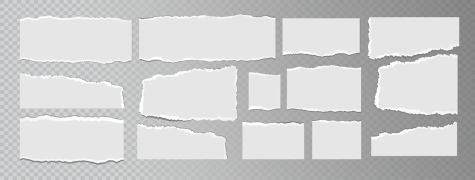 Realistic ripped white paper sheets isolated on transparent background. Torn blank pages with uneven texture. Vector