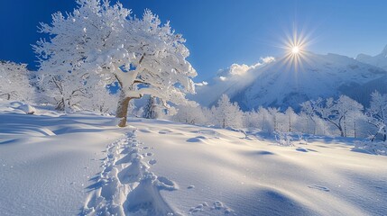 Radiant Sunrise in a Snowy Mountain Landscape Generative AI