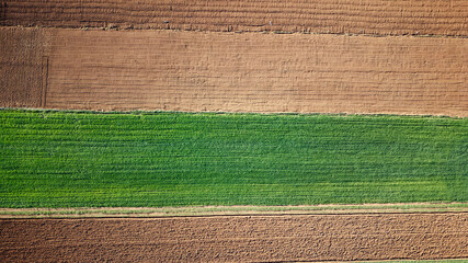 Aerial drone view of agricultural fields. Cultivating crops and farming.