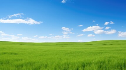 Fototapeta na wymiar unreal blue sky green grass