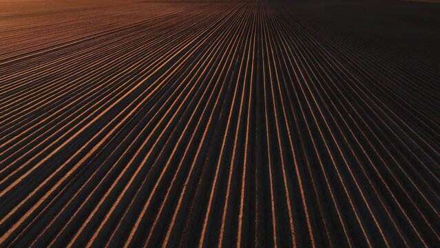 Plowed field. 4K aerial video with a fresh plowed agricultural land for spring planting of vegetables. Farming industry video. Side camera movement, morning sun light.