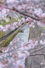 琵琶湖第１疏水