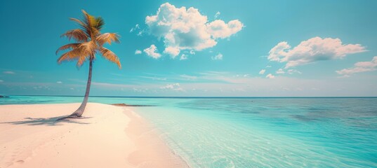 Fototapeta na wymiar Tranquil aerial view of maldives luxury resort island with palm trees on white sandy beach