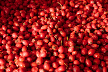 Rose hip or rosehip falling from above on the table. Empty space for copy paste. Backgrounds and textures. Red vibrant colors. Cinematic. Wild fruits and healthy food.