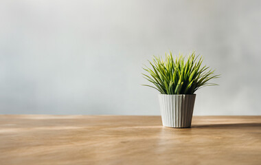 Wooden table with a plant in a pot on a gray background