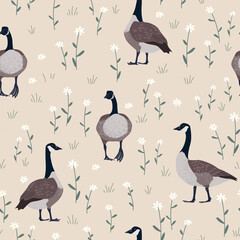 Seamless pattern with daisy flower and Canada geese birds. Small white flowers and green leaves on beige background. Cute floral print. Vector illustration - obrazy, fototapety, plakaty