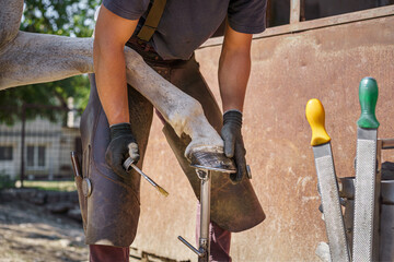 At the end of shoeing, the farrier oils the horse's hoof as part of grooming. Farrier accessories.