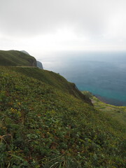 Stroll through the grasslands and coast of Rebun Island