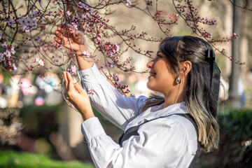 South American woman admiring cherry blossom branches in spring, sunlit park