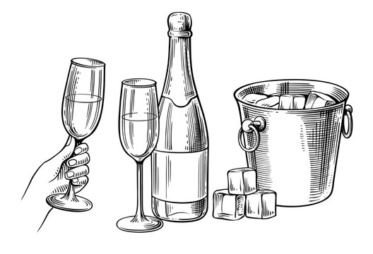 Bottle of champagne and glass. Beverage drawing for bar