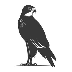 Obraz premium Silhouette hawk animal black color only full body