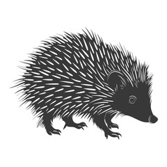 Silhouette Hedgehog animal black color only full body