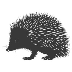 Silhouette Hedgehog animal black color only full body