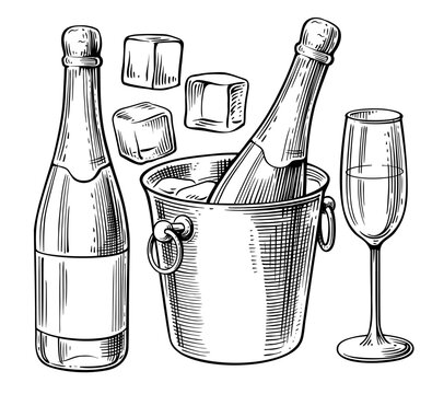 Bottle of champagne and glass. Beverage drawing for bar