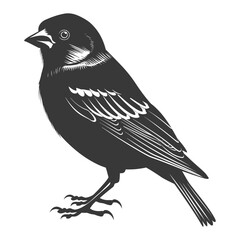 Obraz premium Silhouette House sparrow bird animal black color only