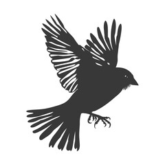 Obraz premium Silhouette House sparrow bird animal fly black color only
