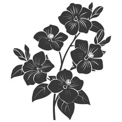 Silhouette jasmin flower black color only