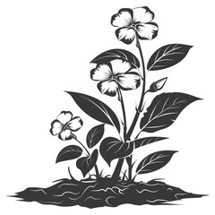 Silhouette jasmin flower in the ground black color only