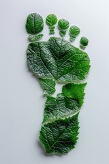 Fußabdruck aus grünen Blättern