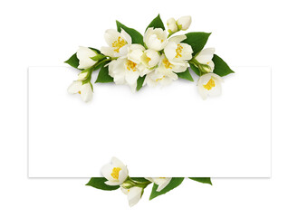 Jasmine flowers and leaves in a floral arrangement with a card for text on white or transparent background - 777172927