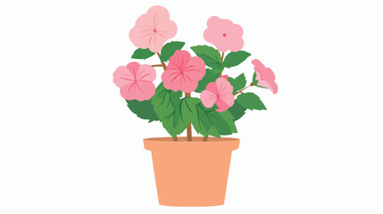 Cute blooming pink flower in pot. Simple houseplant