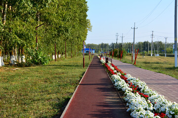 a pathway in the park with flowers and a bench