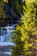 Beautiful landscape with waterfall in forest. Kivach waterfall in Karelia, Russia.