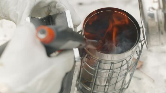 Closeup of unrecognizable apiarist wearing gloves using burner while burning dry wood in stainless steel bee smoker at beekeeping farm