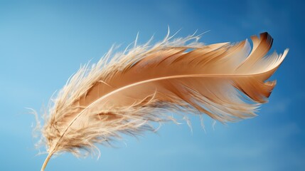 weightless brown feathers