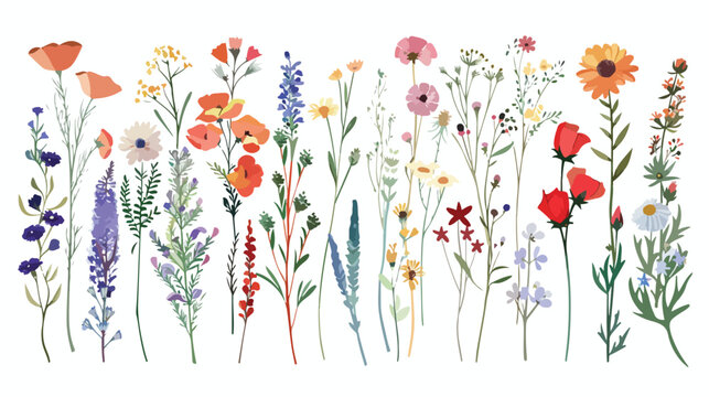 Beautiful wildflowers painted in hand translated into
