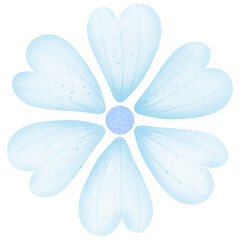 blue flower isolated on white