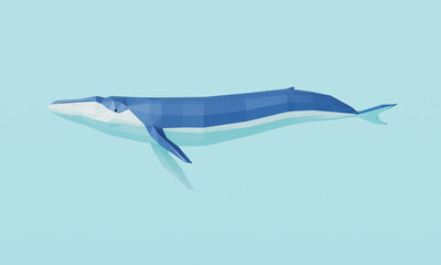 다각형 흰수염고래   Polygon Blue Whale