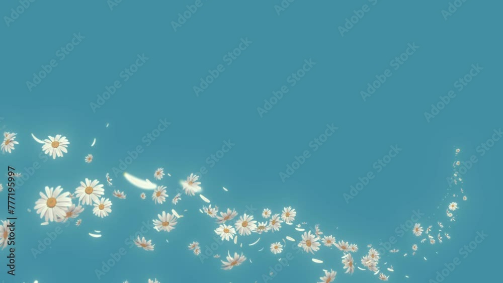 Wall mural daisy flow trail curve on background. daisy along flow curve on pastels background.