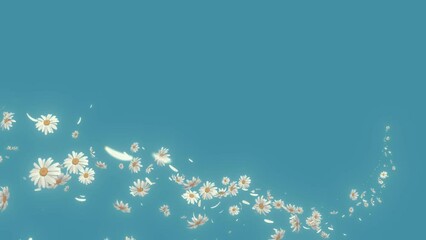 Daisy Flow Trail Curve on Background. Daisy along flow curve on pastels background.