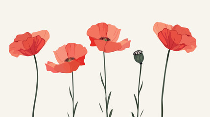 Poppy illustration flat vector isolated on white background