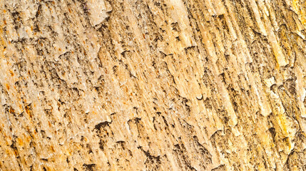Natural Rock Textured Abstract Background Design